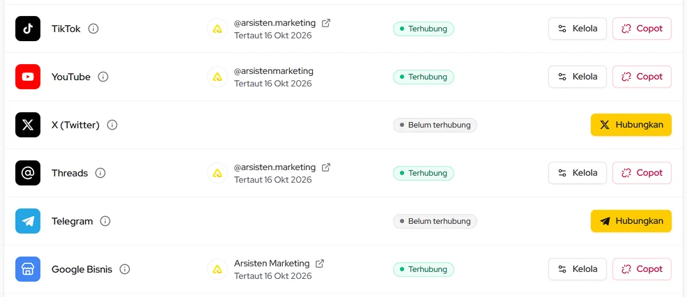 TikTok, YouTube, Threads, dan Google Bisnis terhubung: nama akun, tanggal tertaut, status, Kelola dan Copot